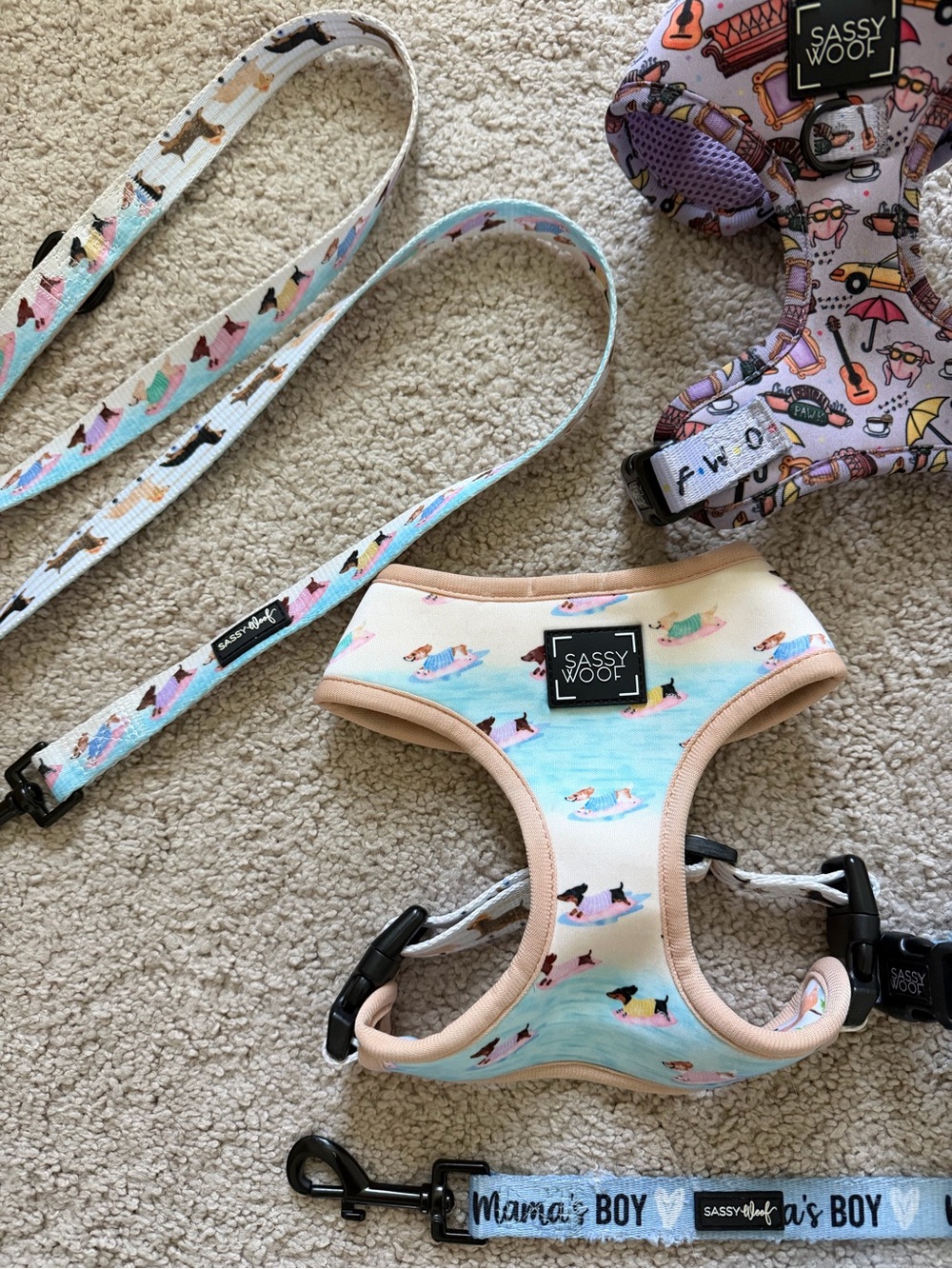 Sassy Woof Harness Leash Bundle - Picture 4 of 16